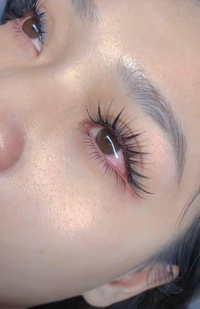 Lashes & Brows